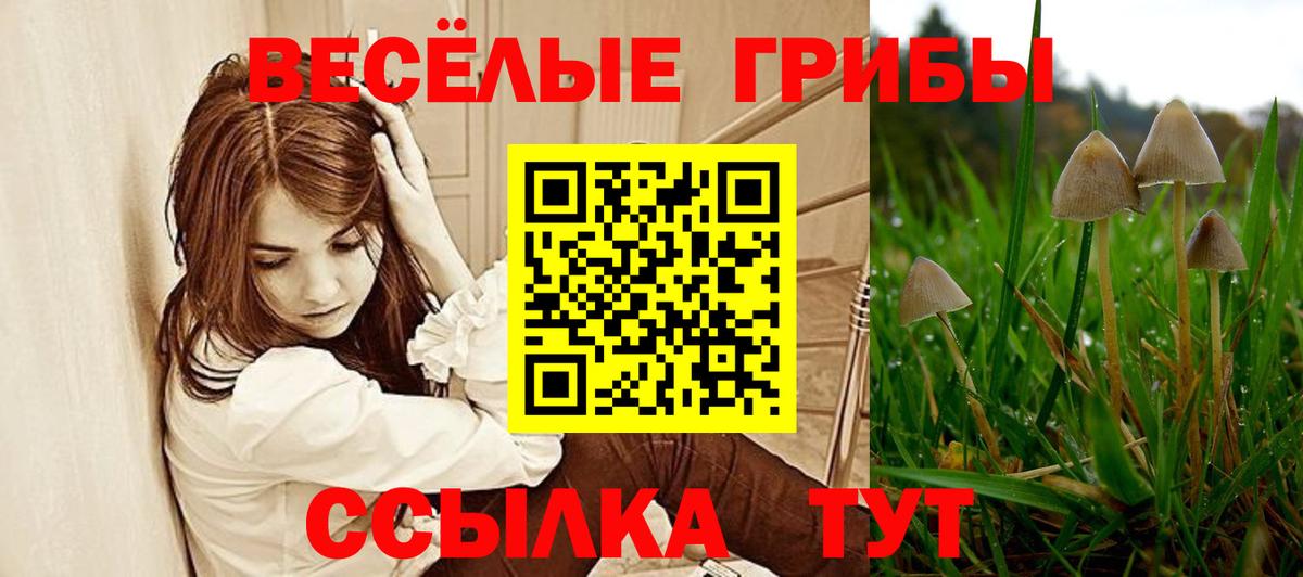 Галлюциногенные грибы MAGIC MUSHROOMS  как найти закладки  Россия  Вход с VPN 