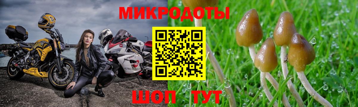 Галлюциногенные грибы мухоморы Россия